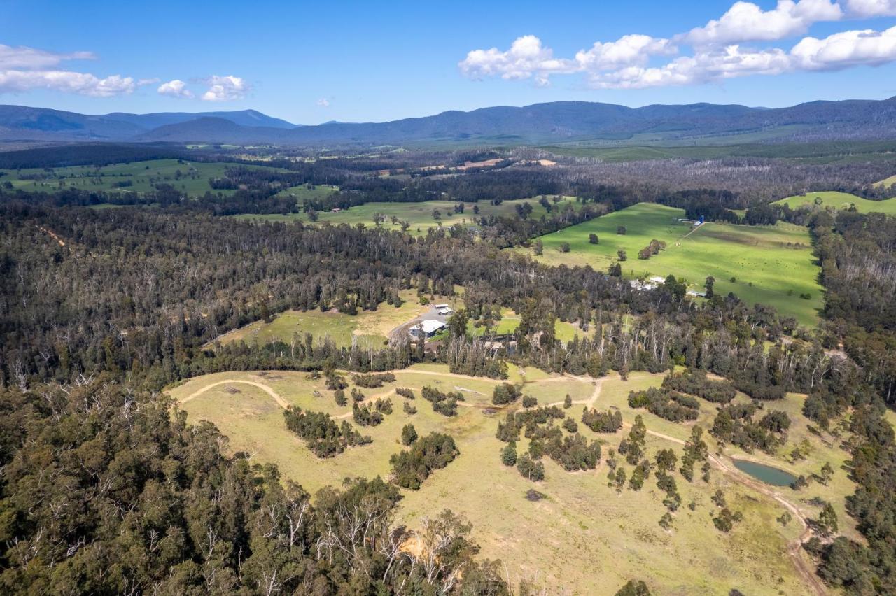 Saladin Lodge Narbethong Bagian luar foto