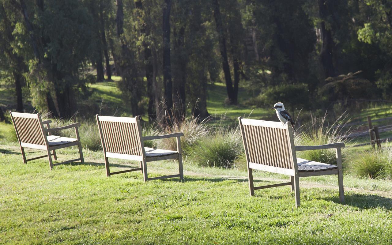 Saladin Lodge Narbethong Bagian luar foto