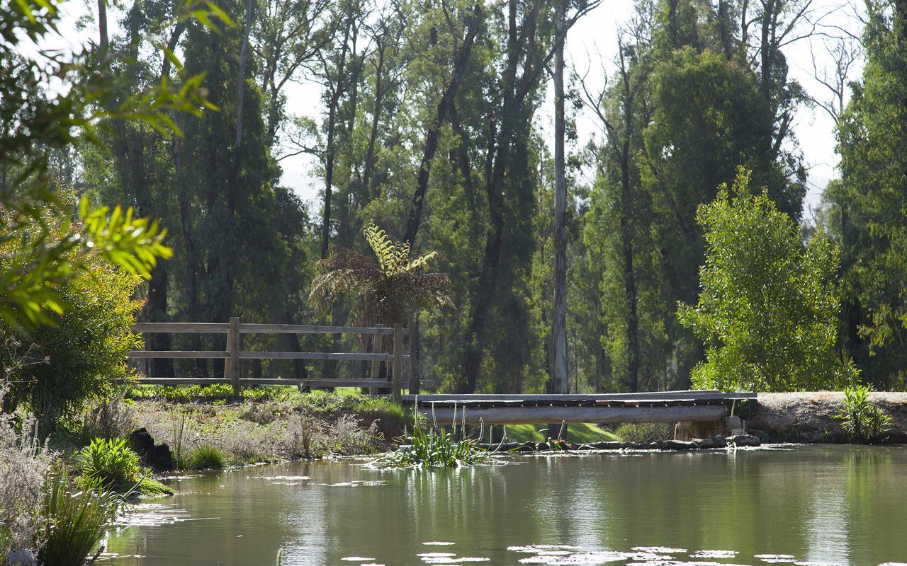 Saladin Lodge Narbethong Bagian luar foto