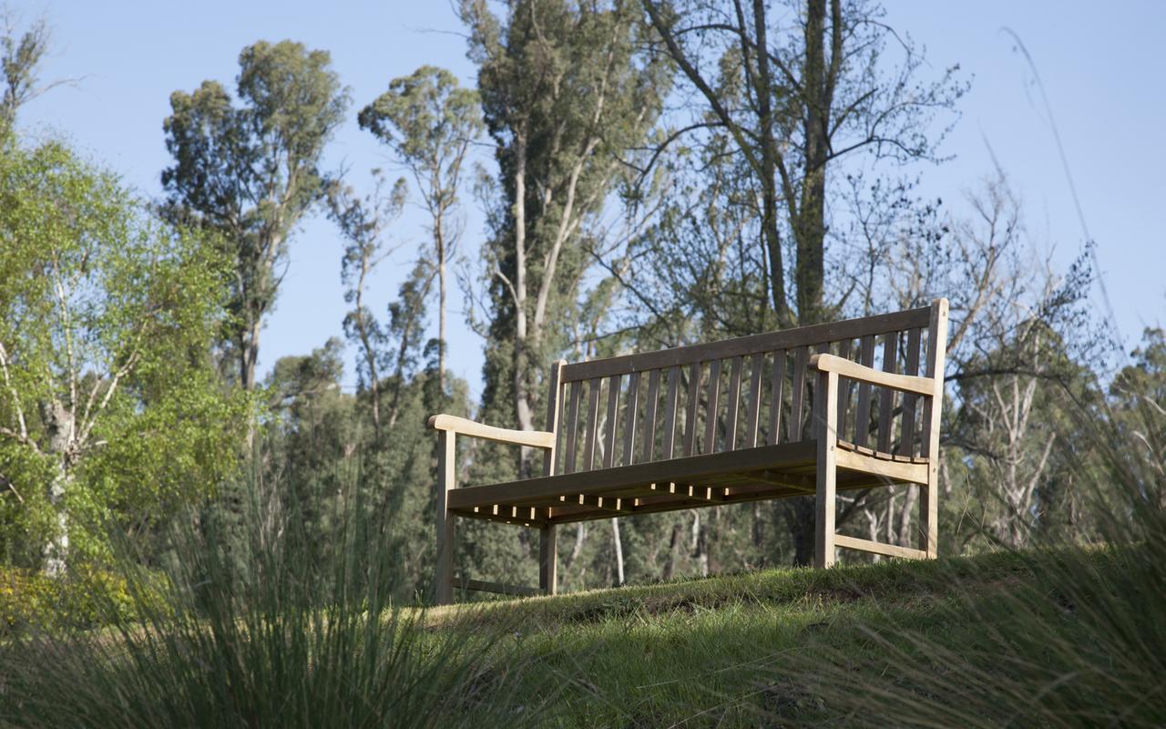 Saladin Lodge Narbethong Bagian luar foto
