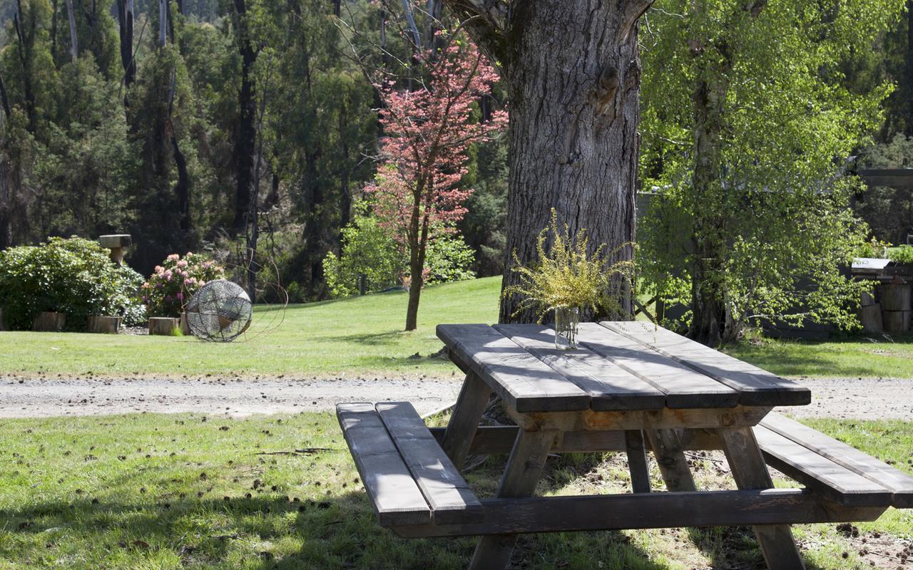 Saladin Lodge Narbethong Bagian luar foto