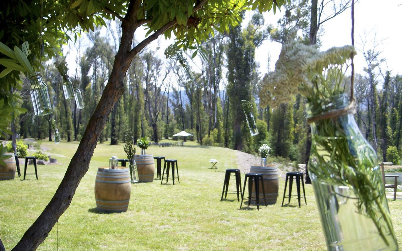 Saladin Lodge Narbethong Bagian luar foto