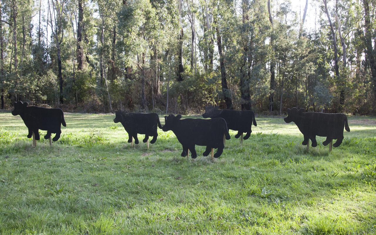 Saladin Lodge Narbethong Bagian luar foto