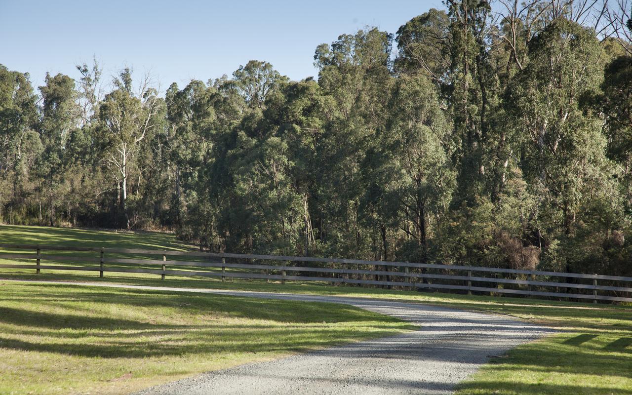 Saladin Lodge Narbethong Bagian luar foto